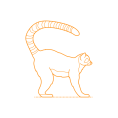 Animals Lemuriforms Vinyl Cutting Svg File, Free Vectors File